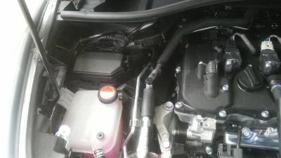 ASCII   �;    b        8   !     4xV4xV4xV4       ` G� ��    ��I��     �                         ��                                                                                                                                                                                                                  C A L GKFI03    Cur.GKFJ03CML 018001001509002901090502010D010D01240967�   #�&      T U N A  ��� �B    1� ˕ oW���  ���K ^���  5X���   FLFL SVN#g	                                                                                                                   �    ��� � �	 H	Q	      }��Q�H        �        $ �                  p  {u  �  z�  n	      �   d �P�    �  
  8     n                                                                                                                                                                                                                                                         JKJK� � pq  ��  �    B�         �          �B    � �B    1� ˕ oW���  ���K ^���  5X��� JKJK
      � � � � � � � � � � � � ��	 
     � � � � � � � � � � ��	   
 � � � � � � � � � � � � � ��	 
 � � � � � � � � � � � � � �   � � � � � � � � � � � � � 
   � � � � � � � � � � � � � � "  � � � � � � � � � � � � � � "  � � � � � � � � � � � � � � "  � � � ��	 ��	 � � � � � � � � � "  � � 
 ��	 ��	 � � � � � � � � � "  � �   
 � � � � � � � � � � "  � � 0 0 @ � � 0 � � " � � " "  � � 0 p�	 p�	 � 
 0 �   � � � "  �  � ��	 ��	 � � 0 �  � " " " "  
  p�	 ��	 ��	 � � � �  � " " " "  
 � ��	 ��	 ��	 � 0 0 �  � � � � JKJK�? E  ғ �d ��  m|                                                                                                 cC 
  � (C     � (C     � (C    
�                                                                                                                                                                                                                                                                                           ) AFAF                                                                                                                                                                                                                                                      AFAF N GK N OAFAF                                                                                                                                                                                                                                                                                                                                       ްF�        �   X �x R� )� )� � � w�஻  6n0
  0
                                                                                                                                                                                                                                                                                                                                                                                                                                                                                                                                                                                                                                                                                                                                                                                                          2
  4
  6
  8...