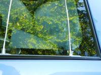 frontscheibe_messen_2.jpg frontscheibe_messen_2.jpg