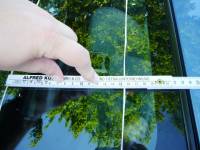 frontscheibe_messen_3.jpg frontscheibe_messen_3.jpg